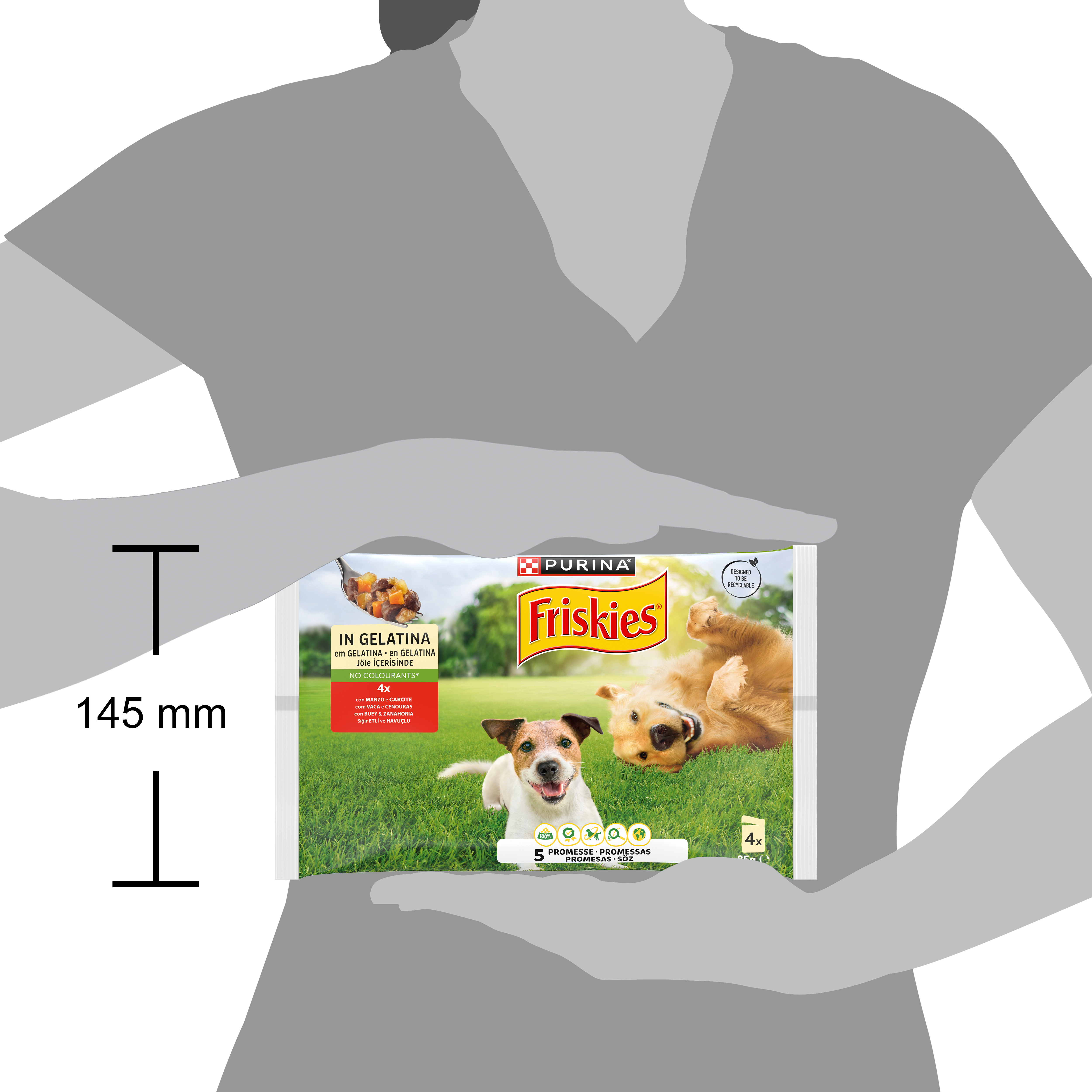 Friskies Buste 4x85g Cane Bocconi in gelatina con Manzo e Carote