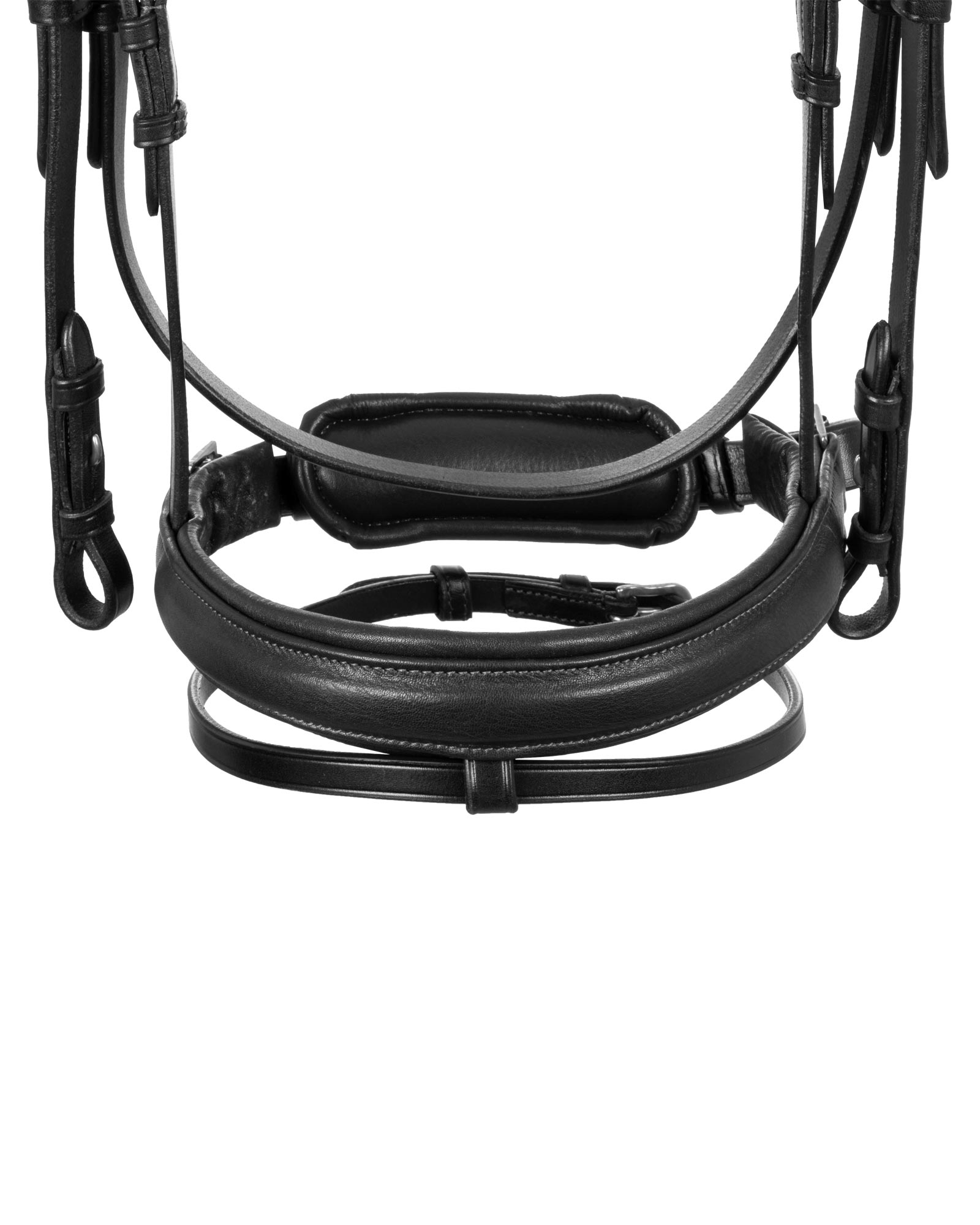 Primavera bridle calfskin