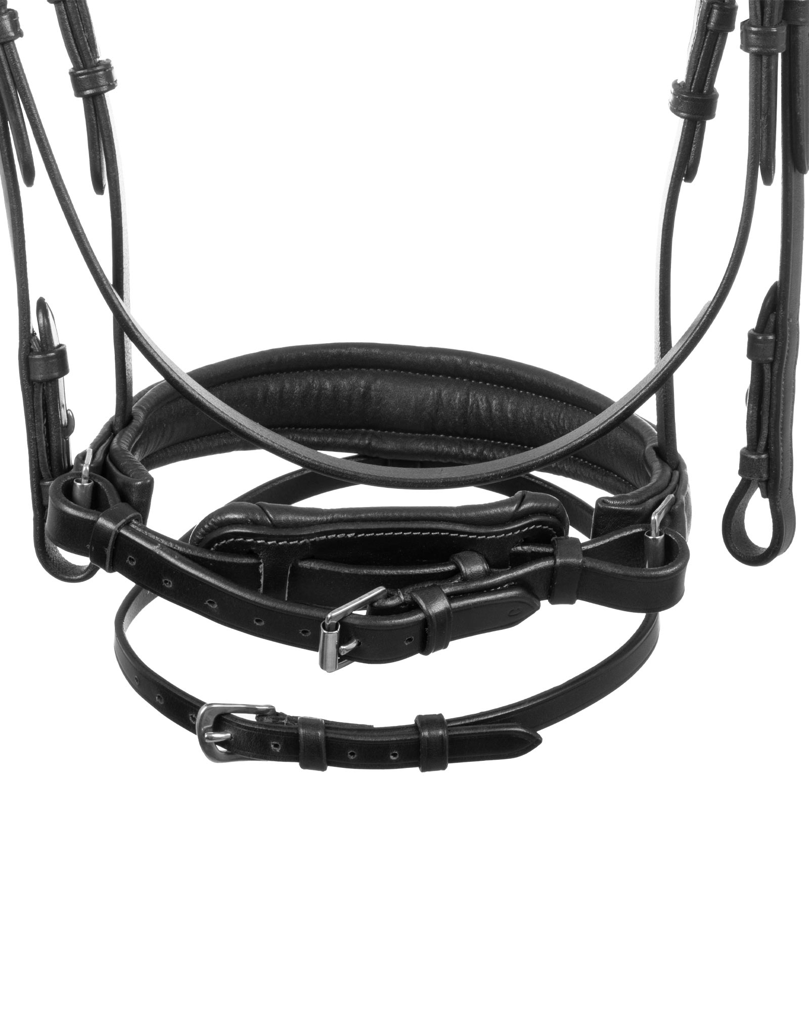 Primavera bridle calfskin