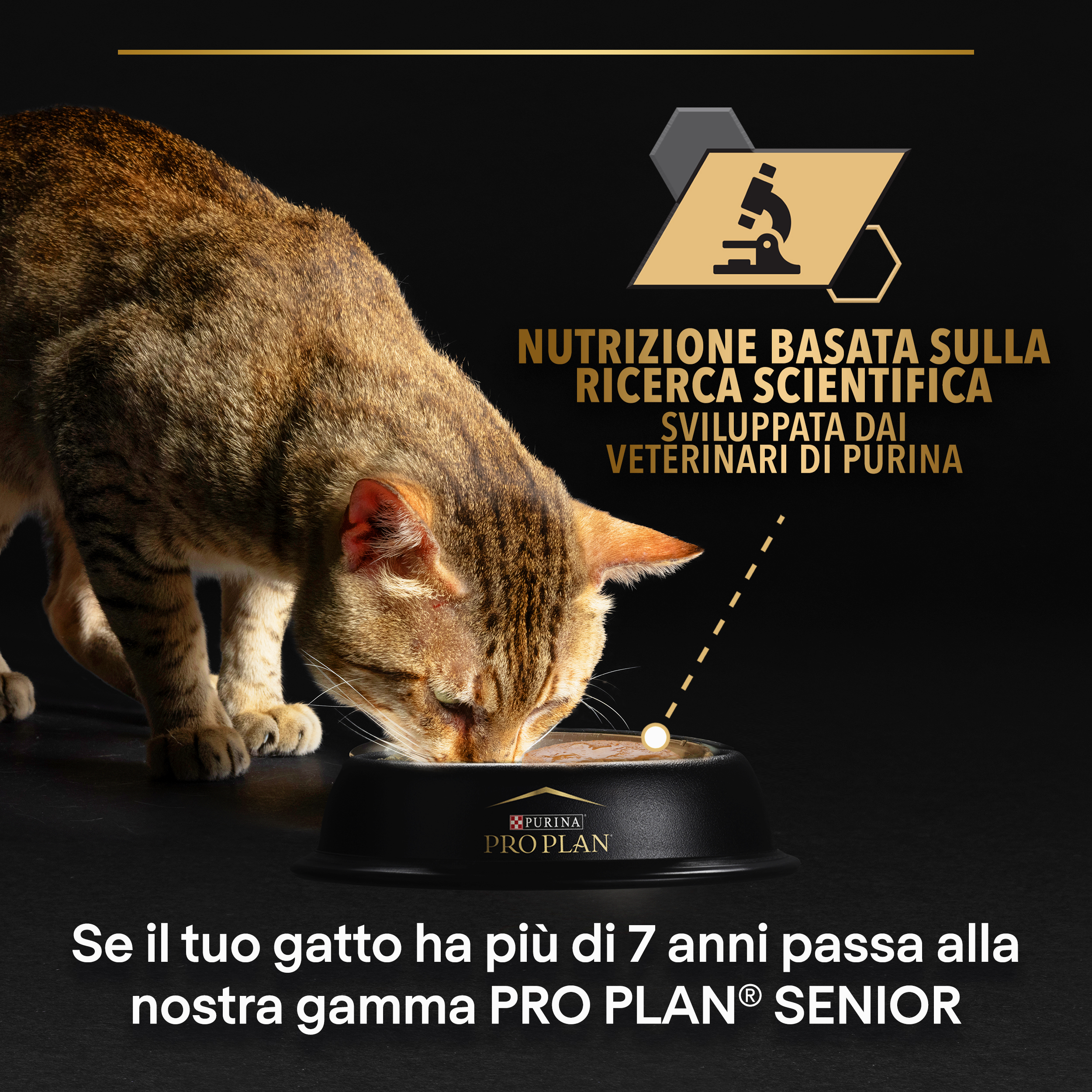 PURINA PRO PLAN WET CAT STERILISED teneri pezzetti in gelatina con Tacchino