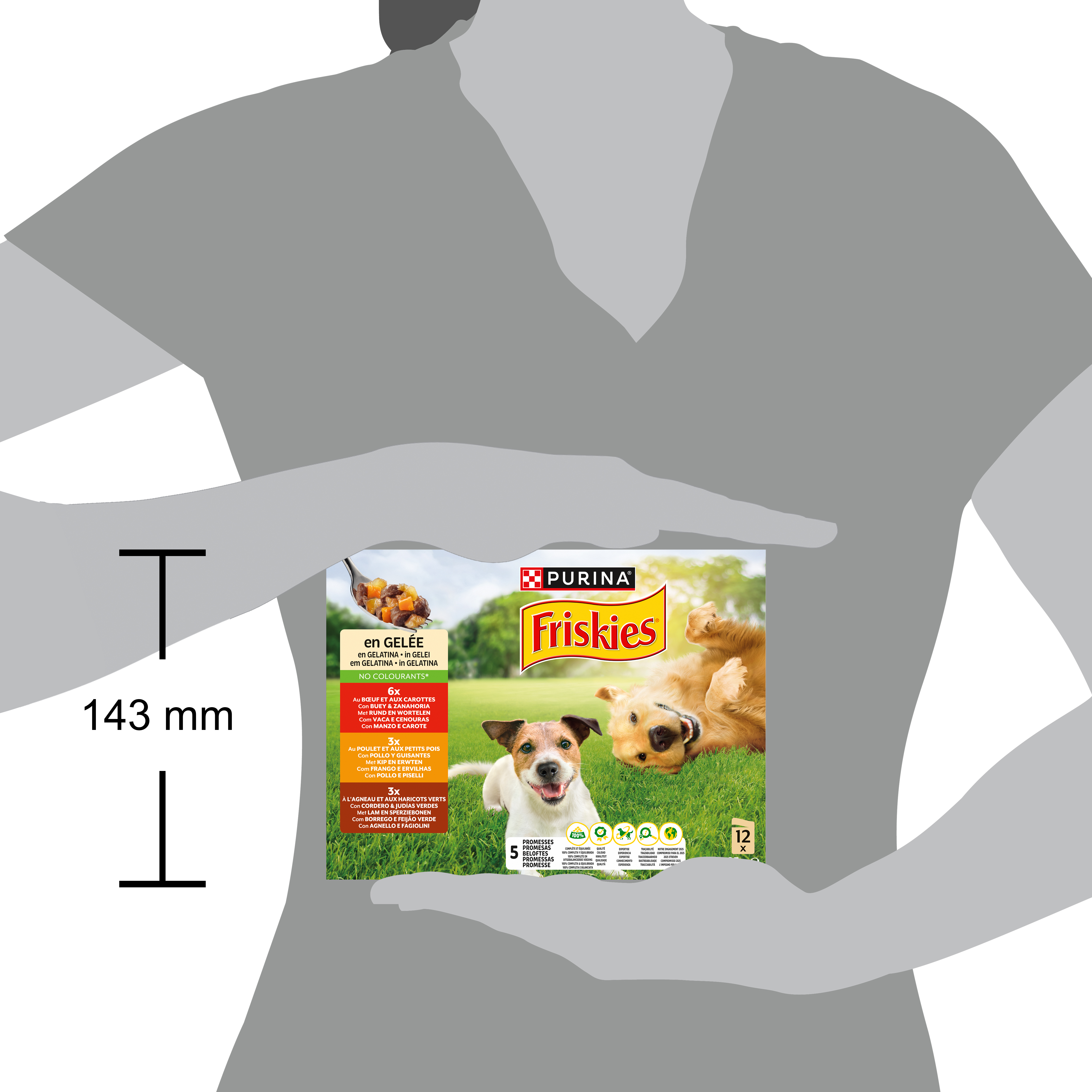 Friskies Buste 12x85gr Manzo, Pollo e Agnello in gelatina


