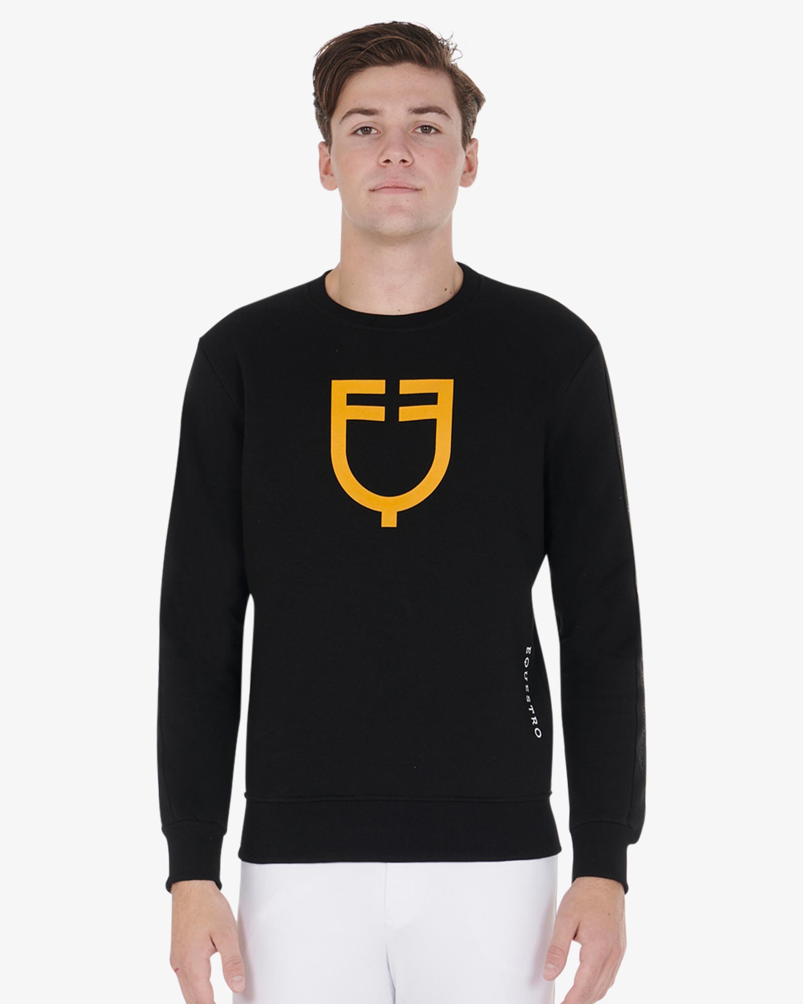 Men's cotton sweatshirt with logo