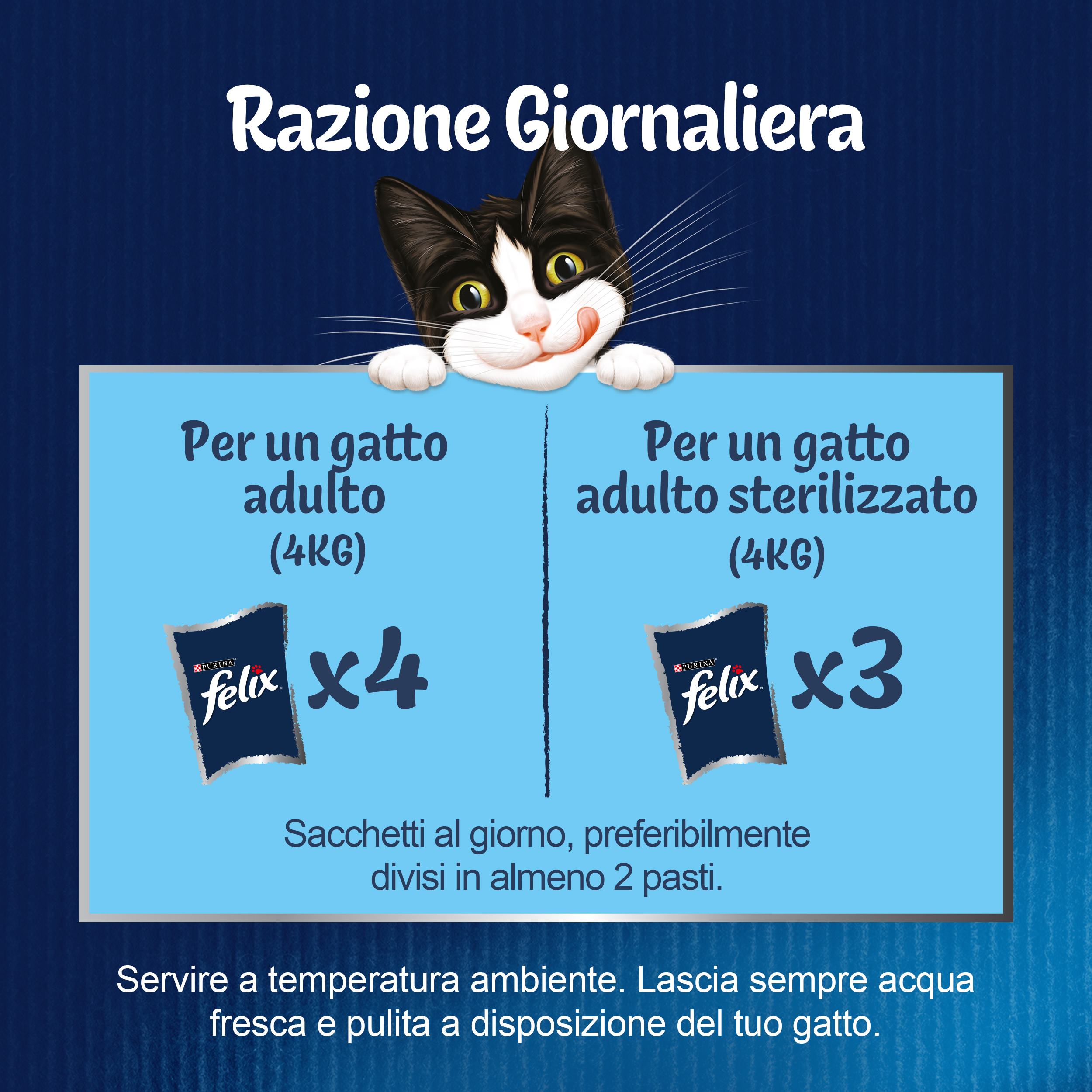 FELIX® MULTIPACK GHIOTTONERIE 80x85g