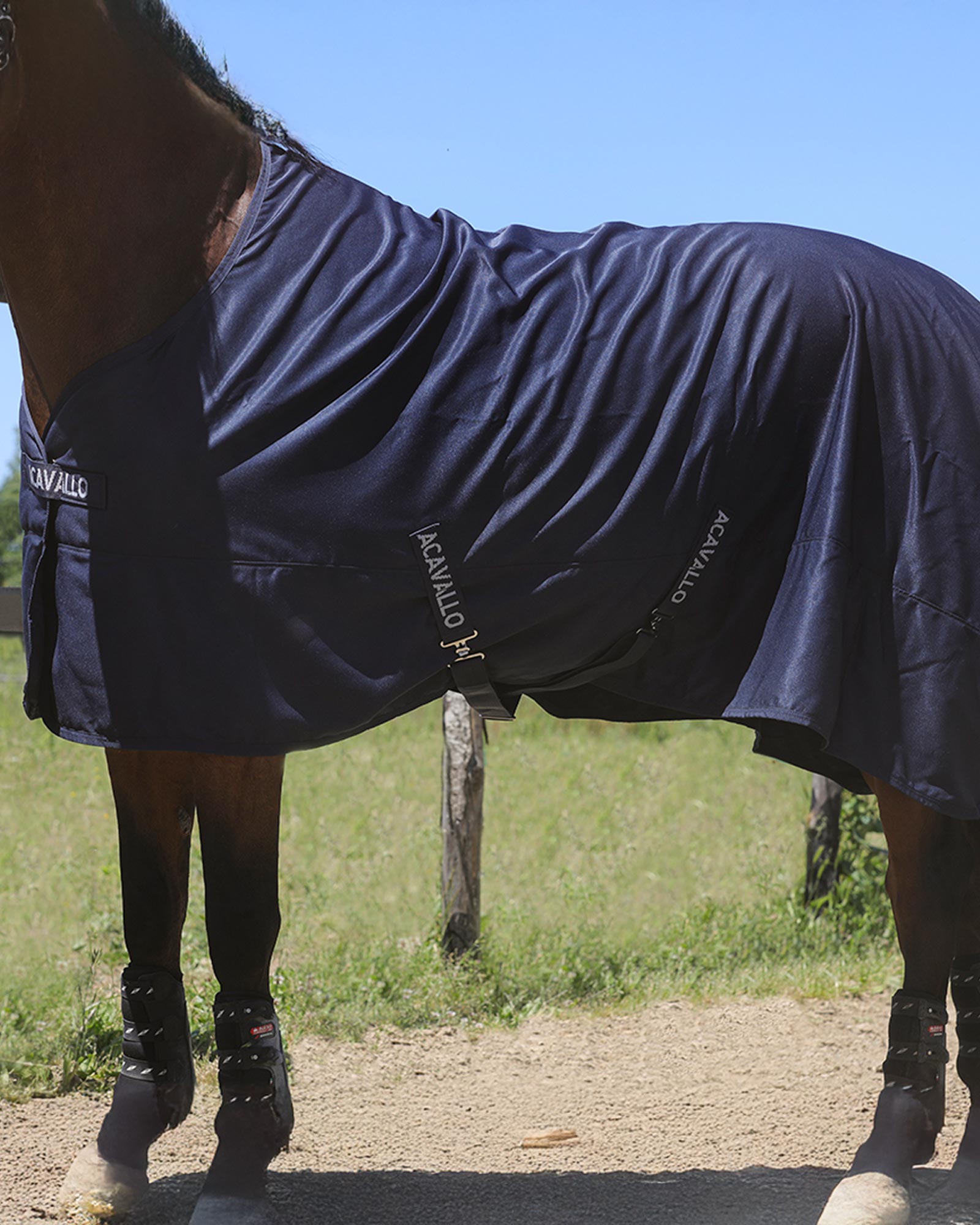Spring Sheet stable rug
