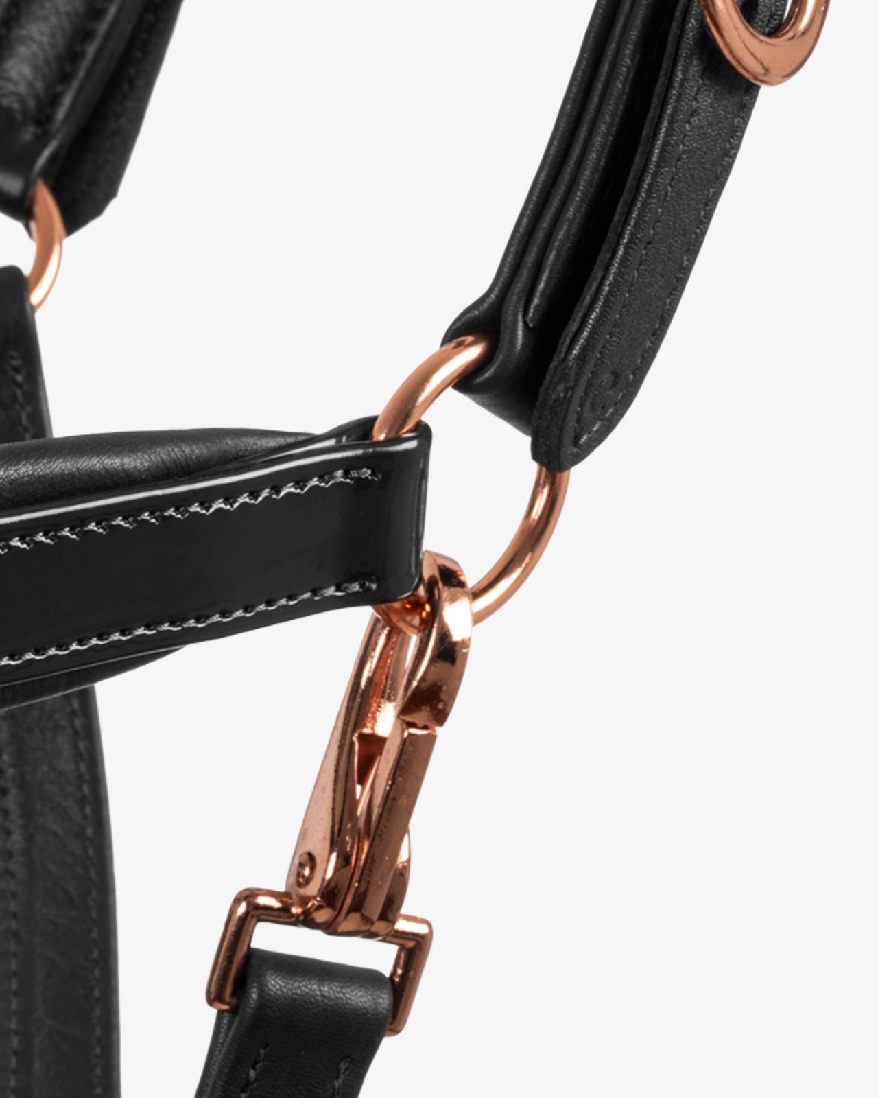 Cavezza cuoio lucido fibbie rose gold