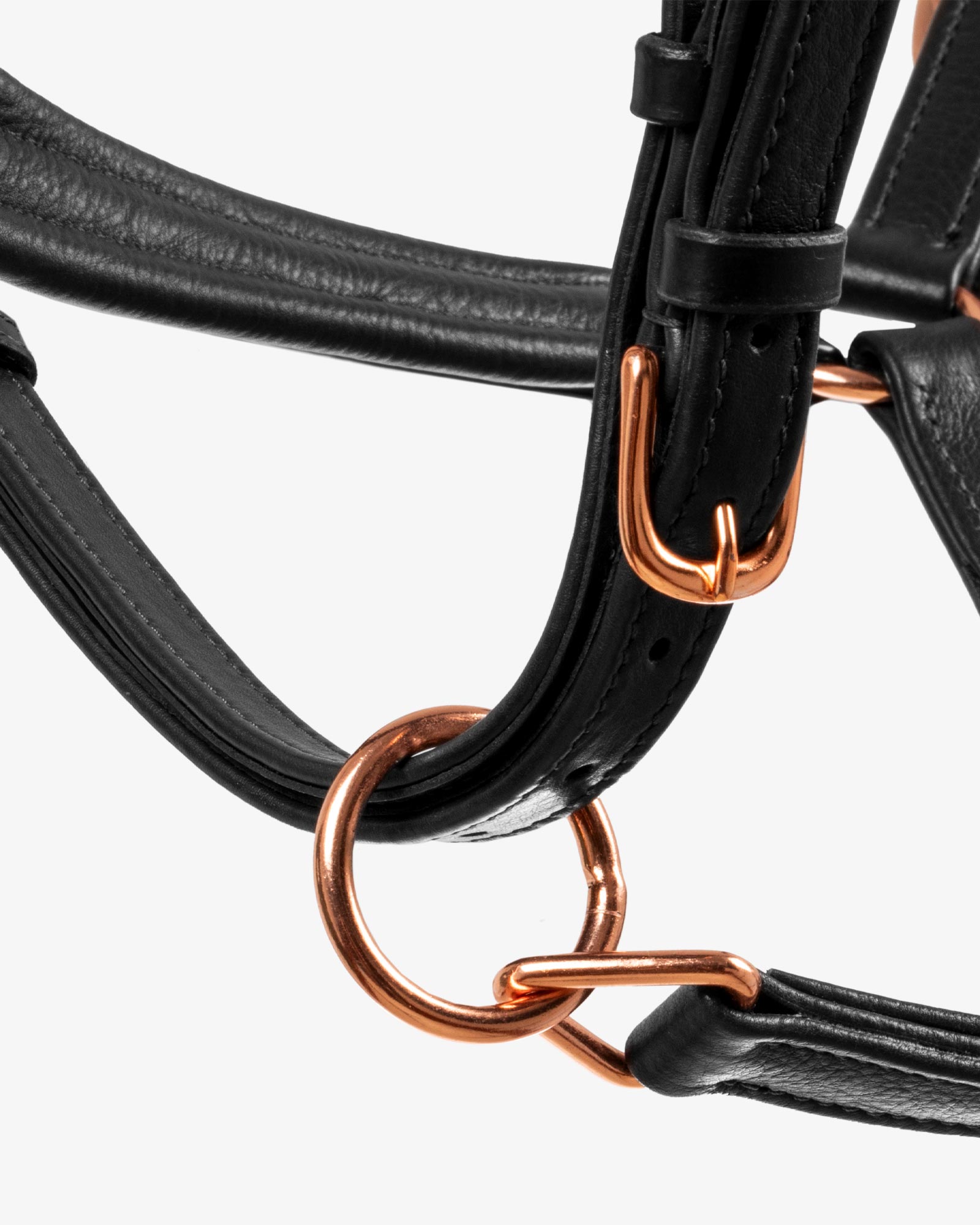 Kerbl cavezza esclusiva - acquista su