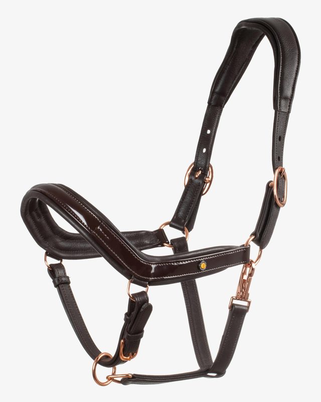 Polished leather halter with rose gold buckles