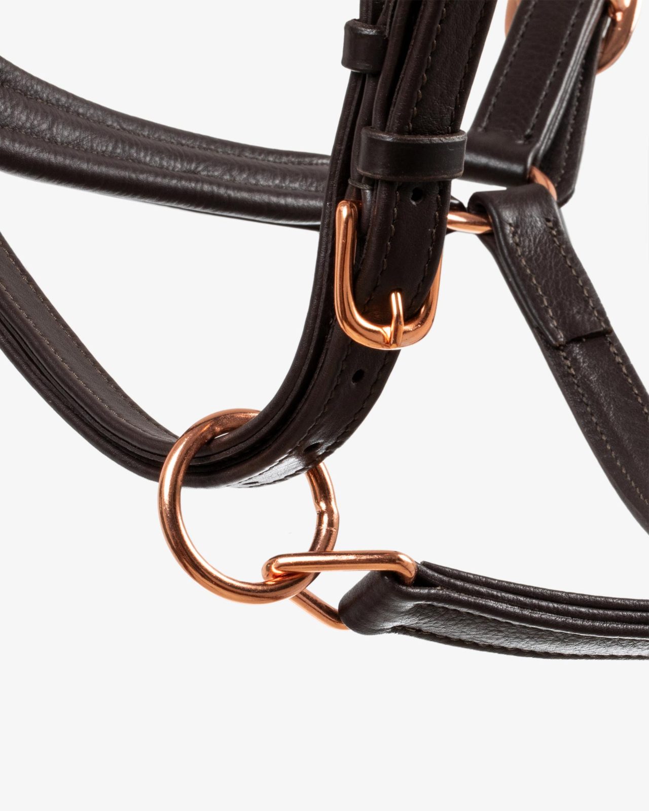 Cavezza cuoio lucido fibbie rose gold