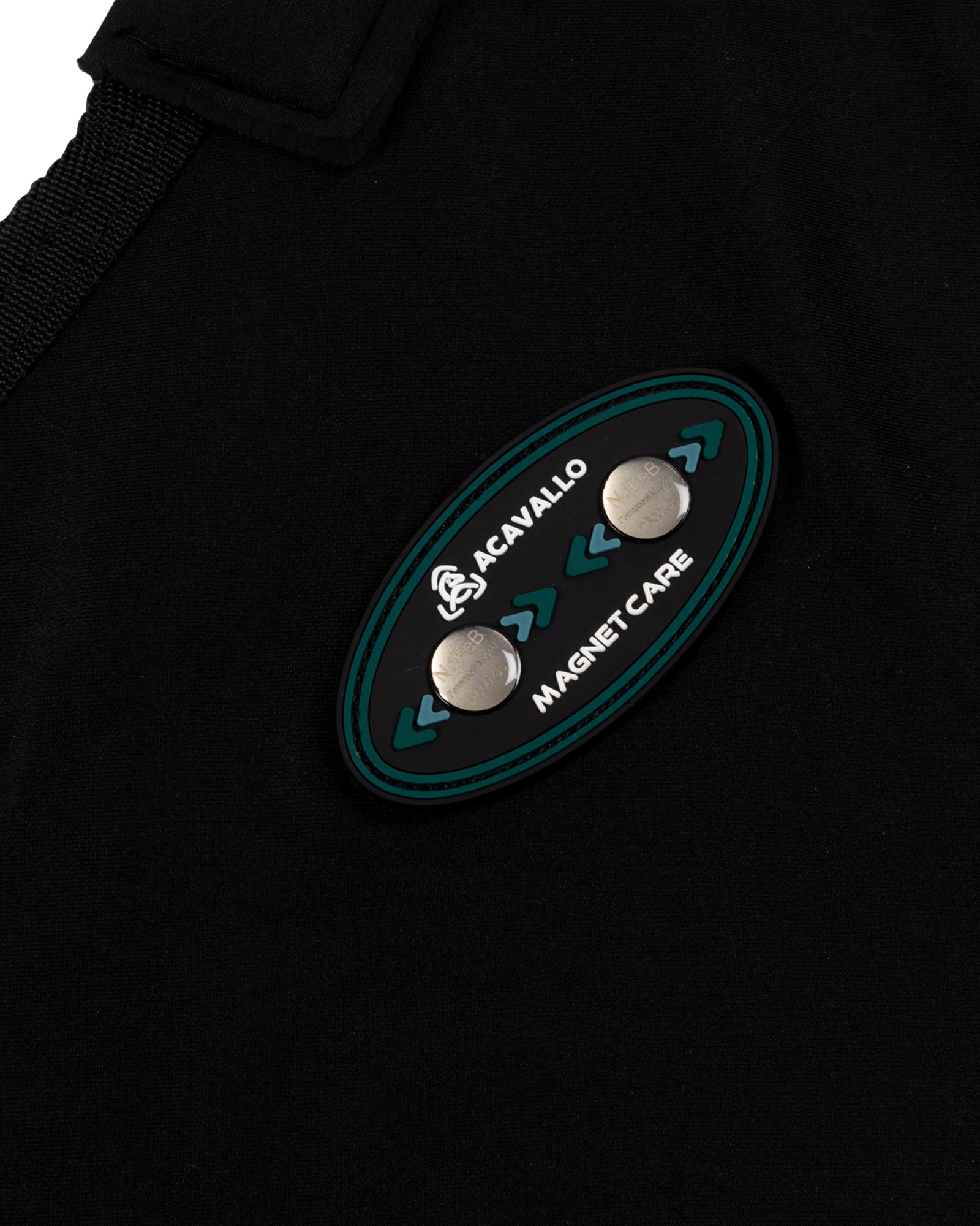 Magnet Care rug