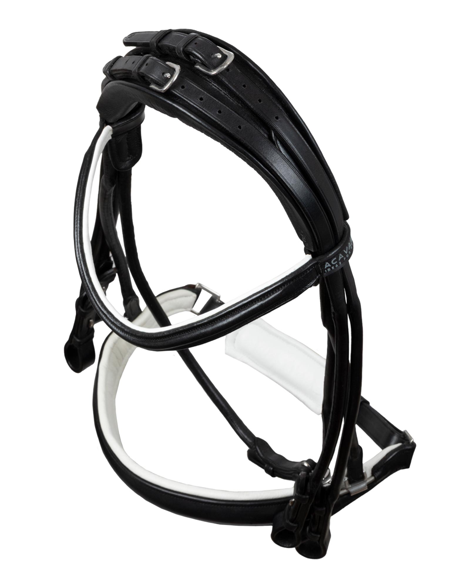Fornarina bridle laminated calfskin