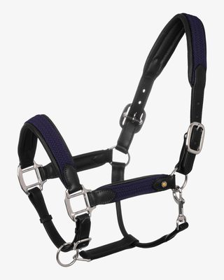 Leather halter with braided nylon inserts
