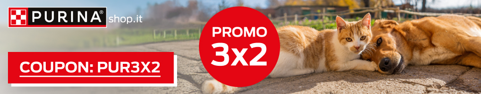 Promo 3X2