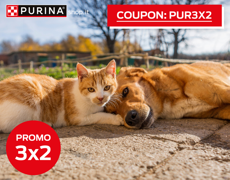 Promo 3X2