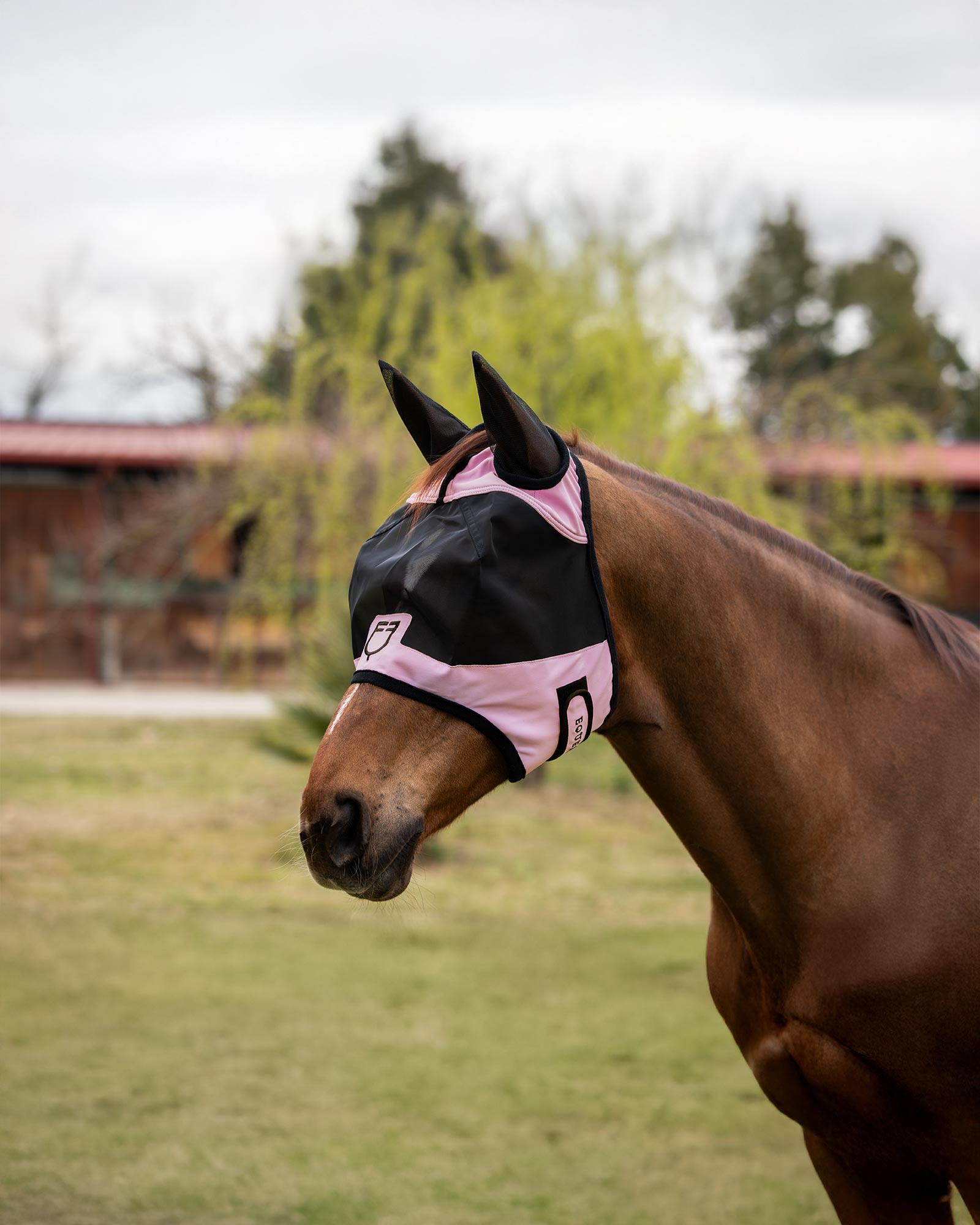 Fly mask with front logo
