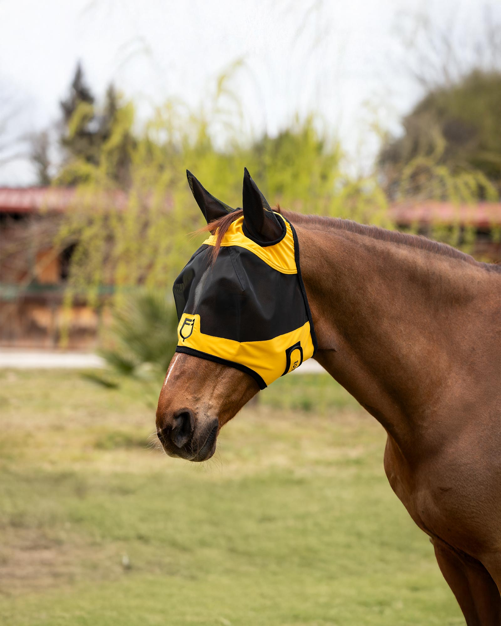 Fly mask with front logo