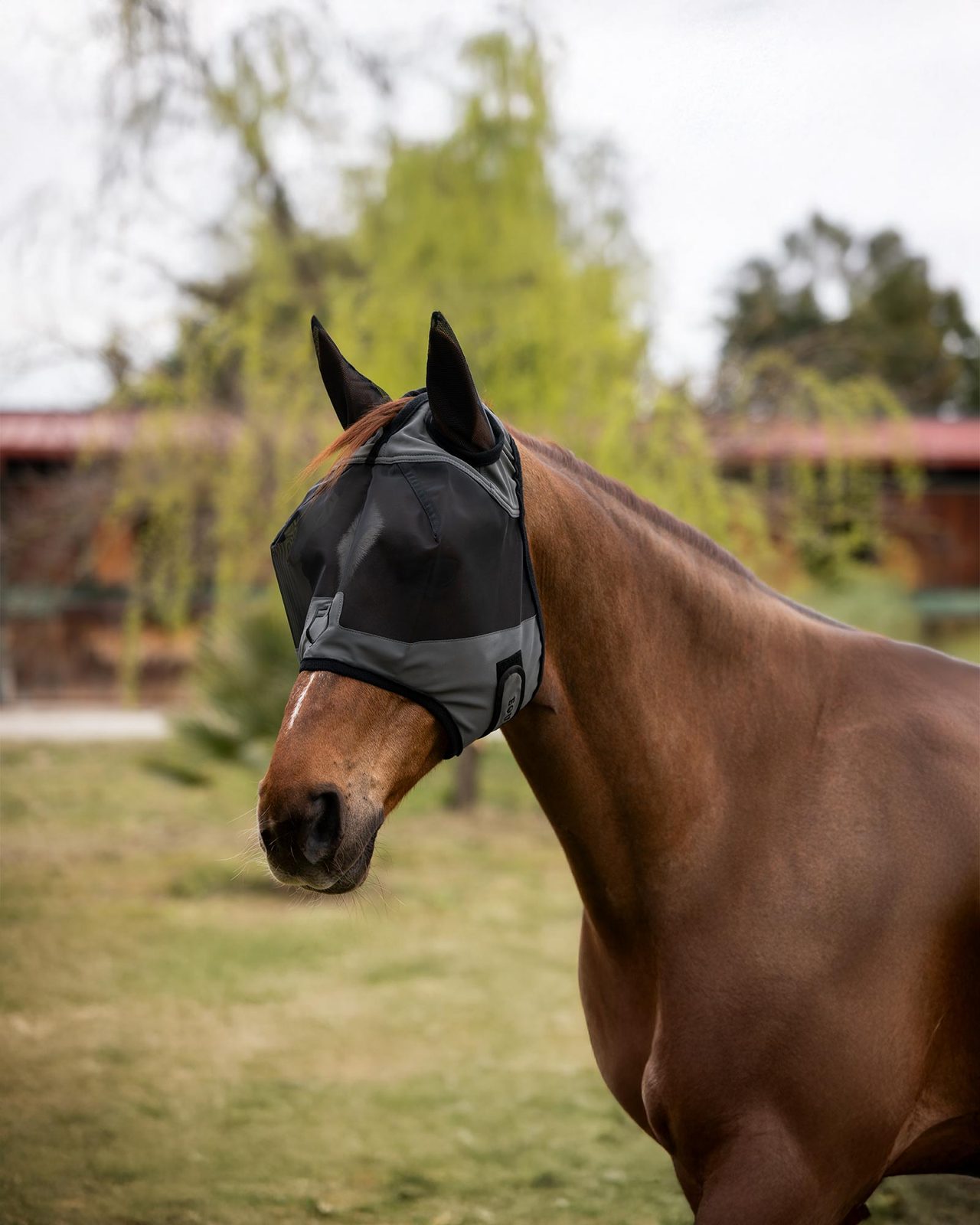 Maschera antimosche con logo frontale