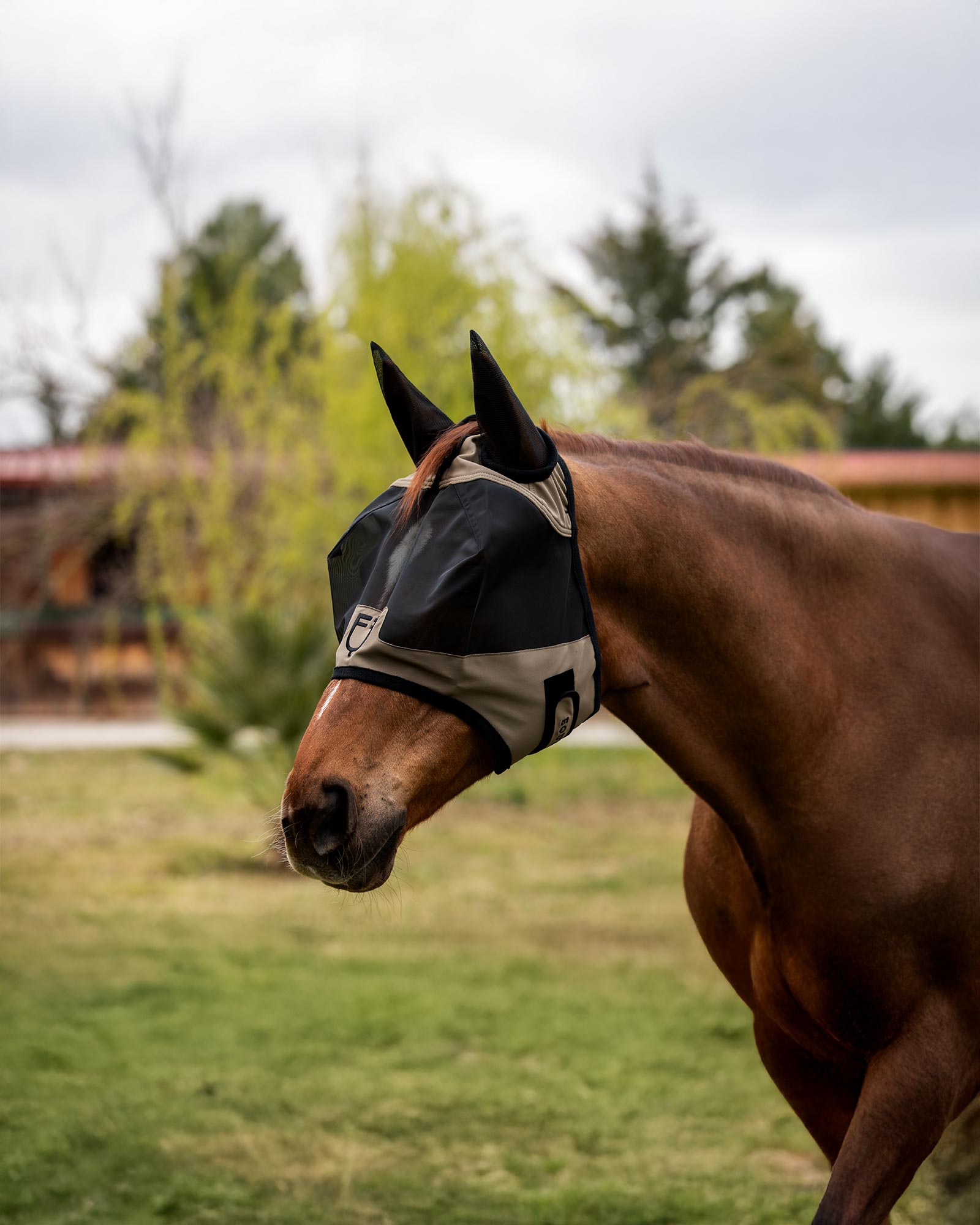 Fly mask with front logo