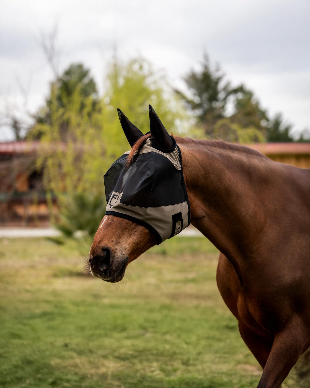 Fly mask with front logo