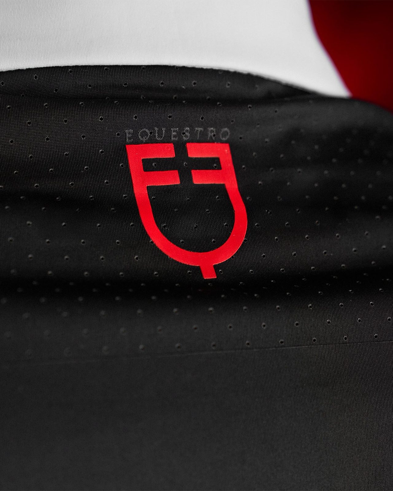 Polo concorso uomo Equestro Ridertechnology manica lunga bottoni