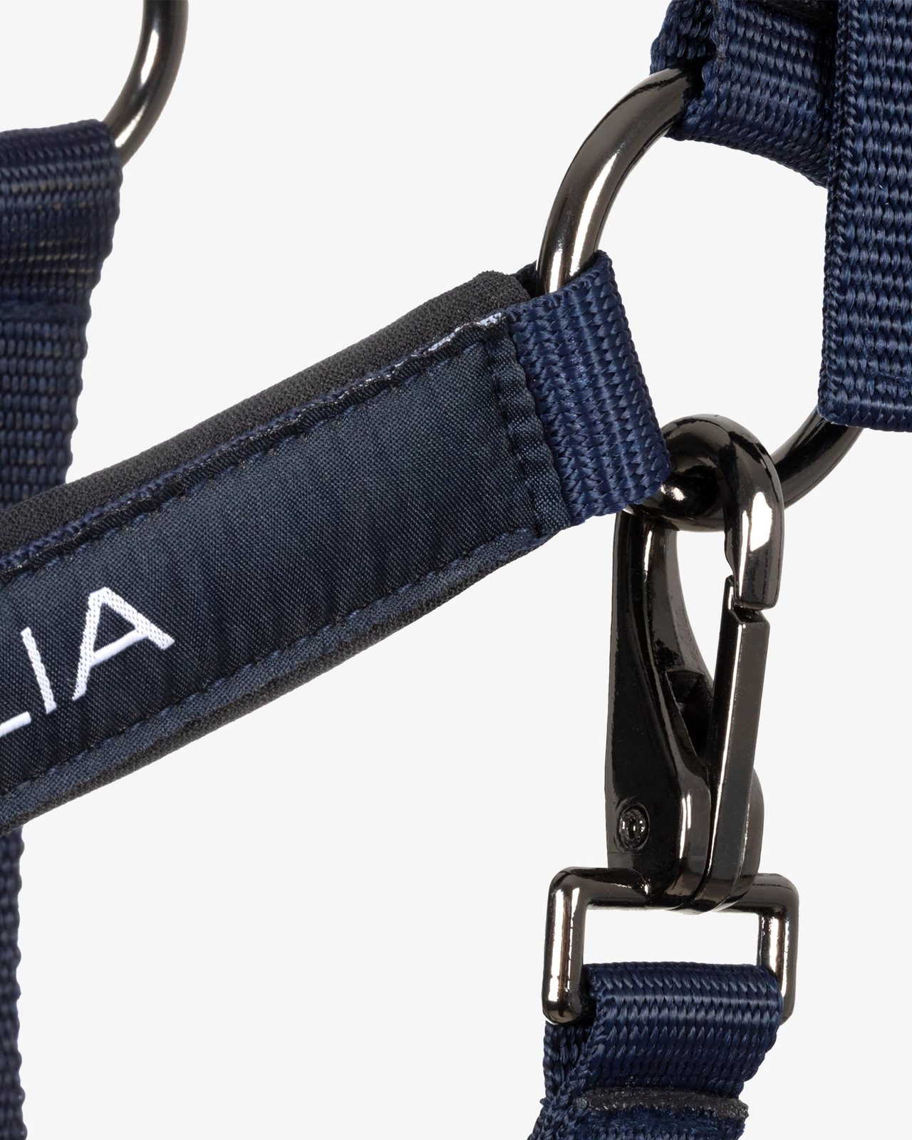 Padded halter double adjustment Equestro X FISE