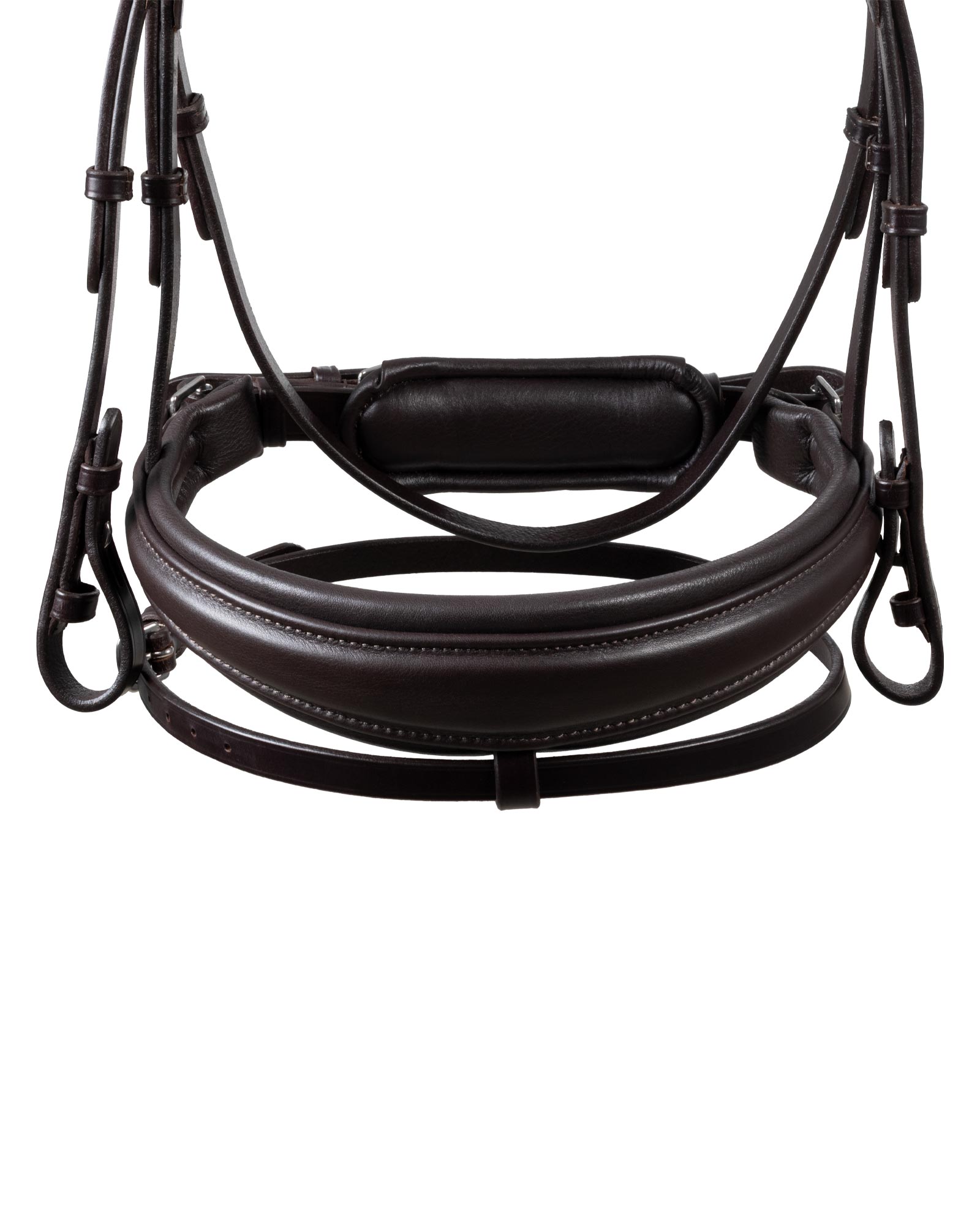 Starry night calfskin bridle