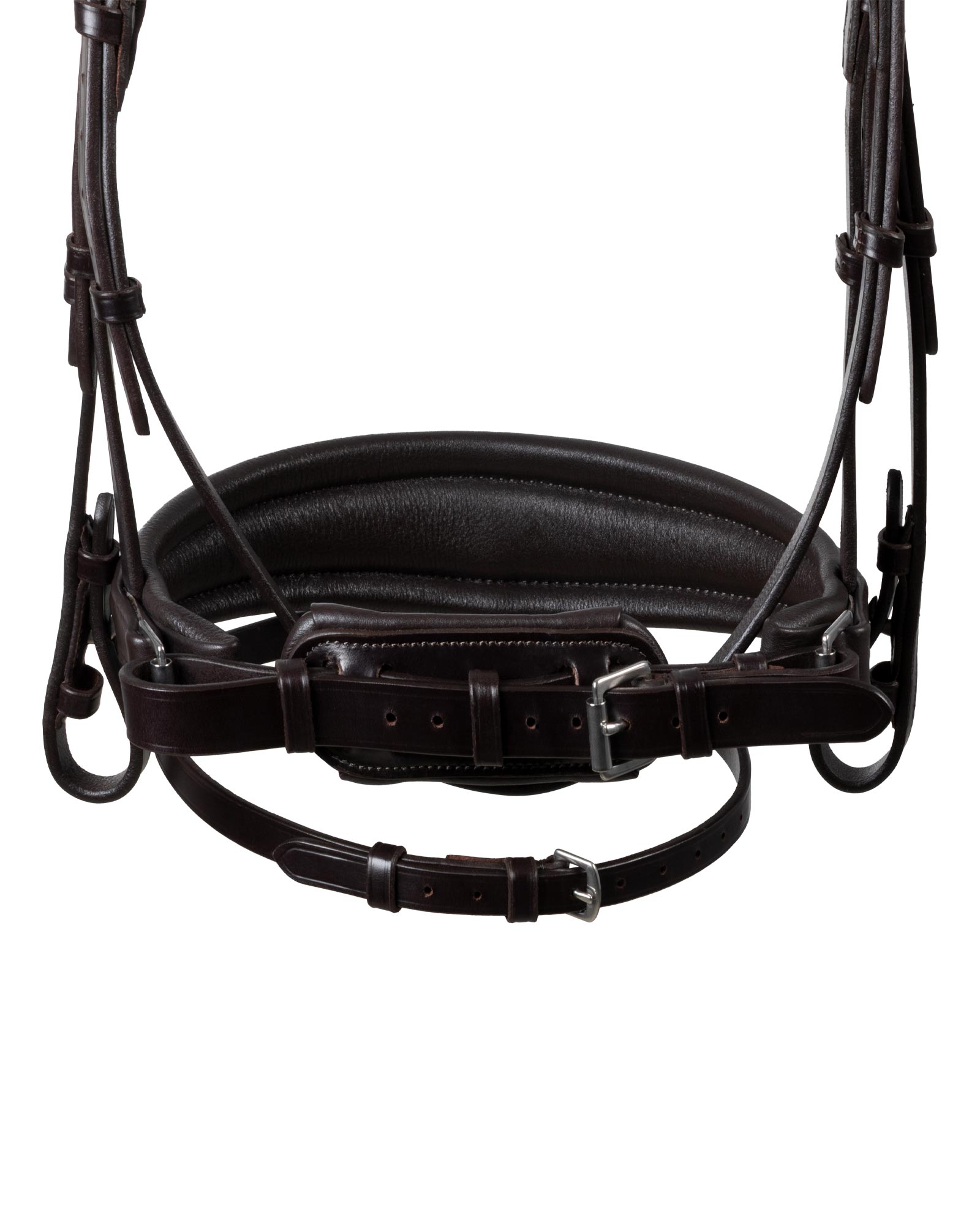 Starry night calfskin bridle