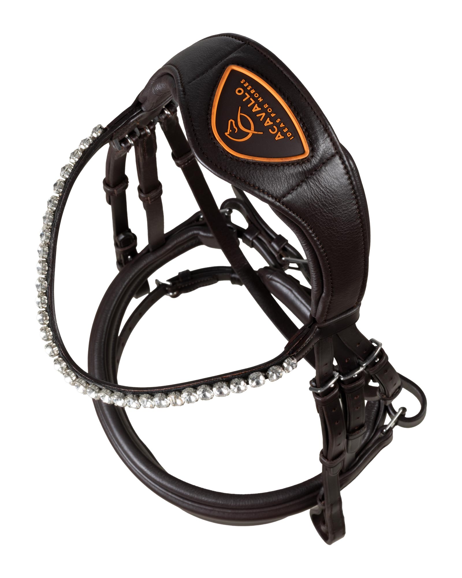 Starry night calfskin bridle