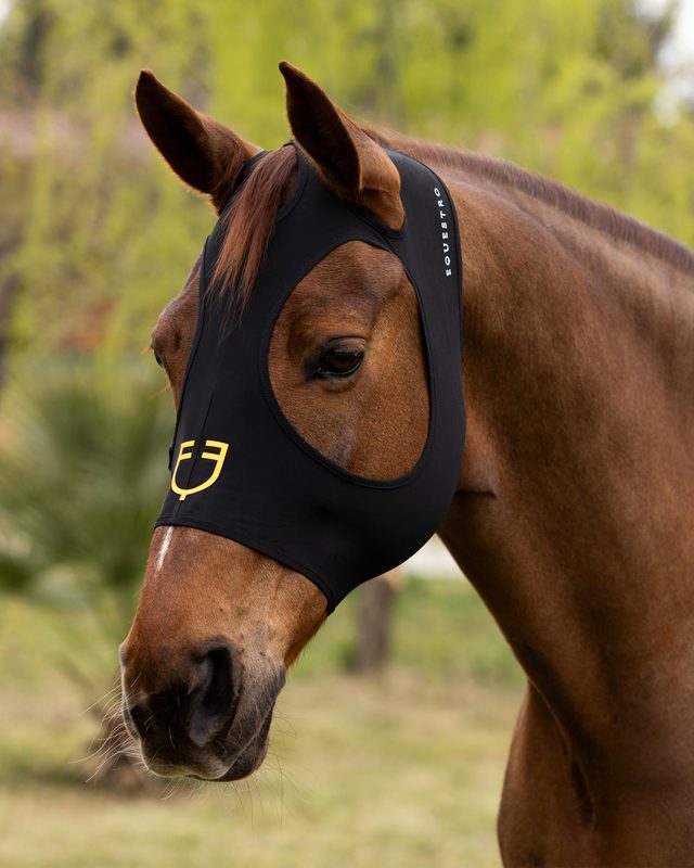 Elastan anti-fly mask without ears and eye net