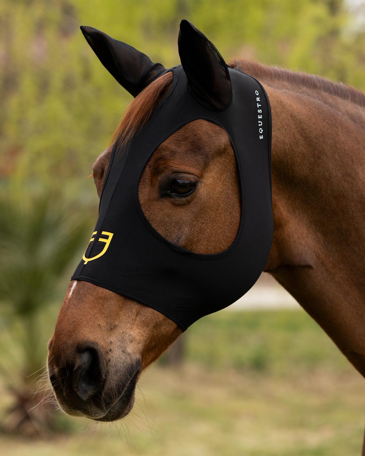 Elastane fly mask without eye net