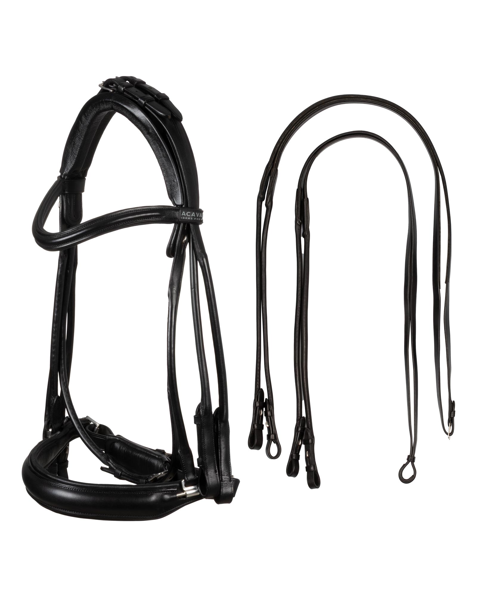 Parnaso bridle double reins