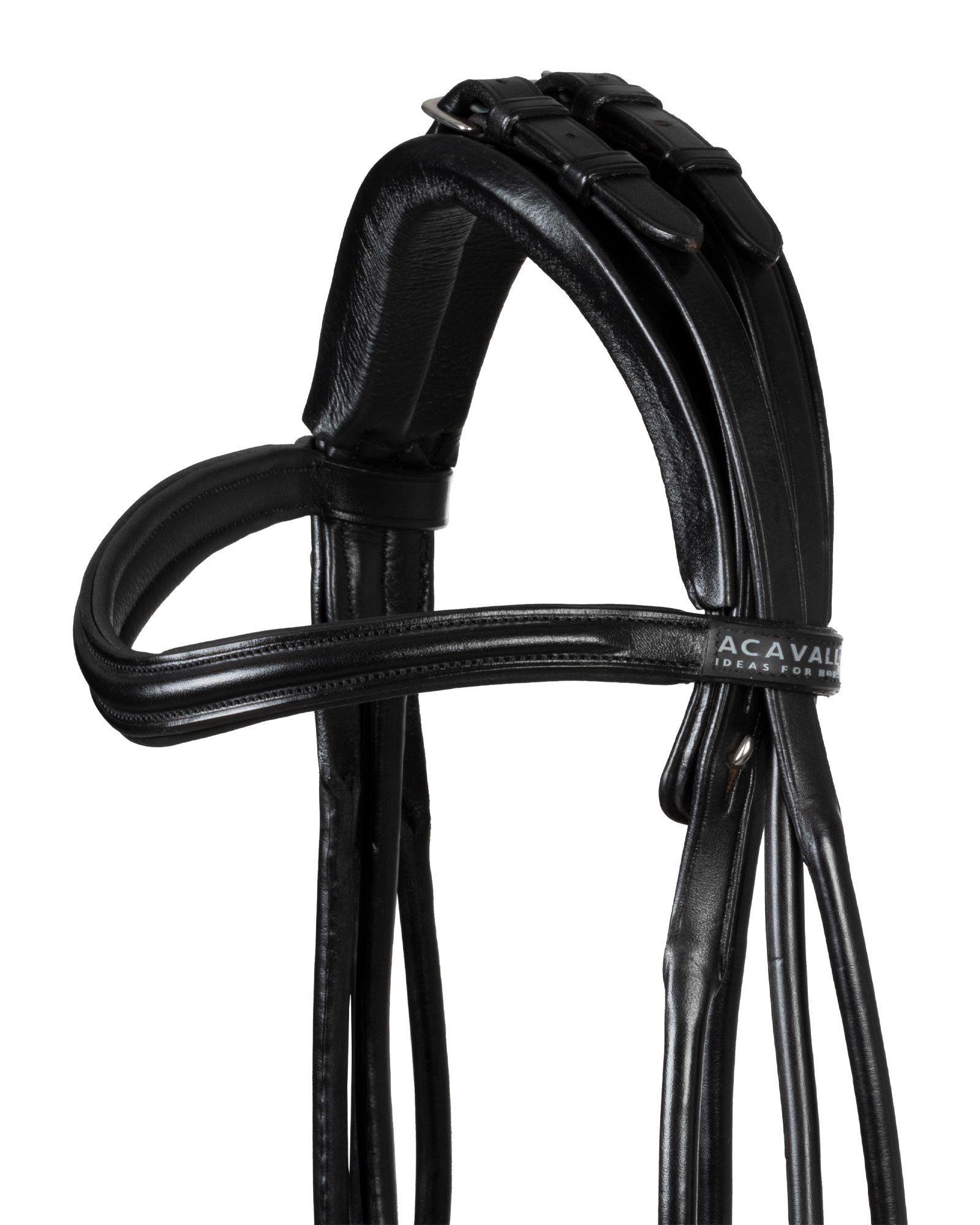 Parnaso bridle double reins
