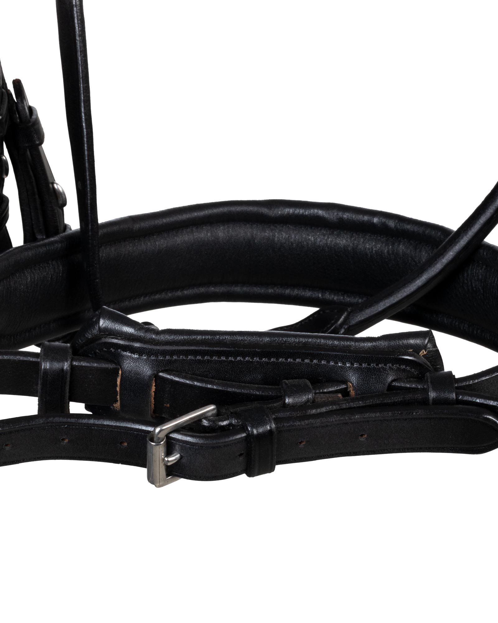 Parnaso bridle double reins
