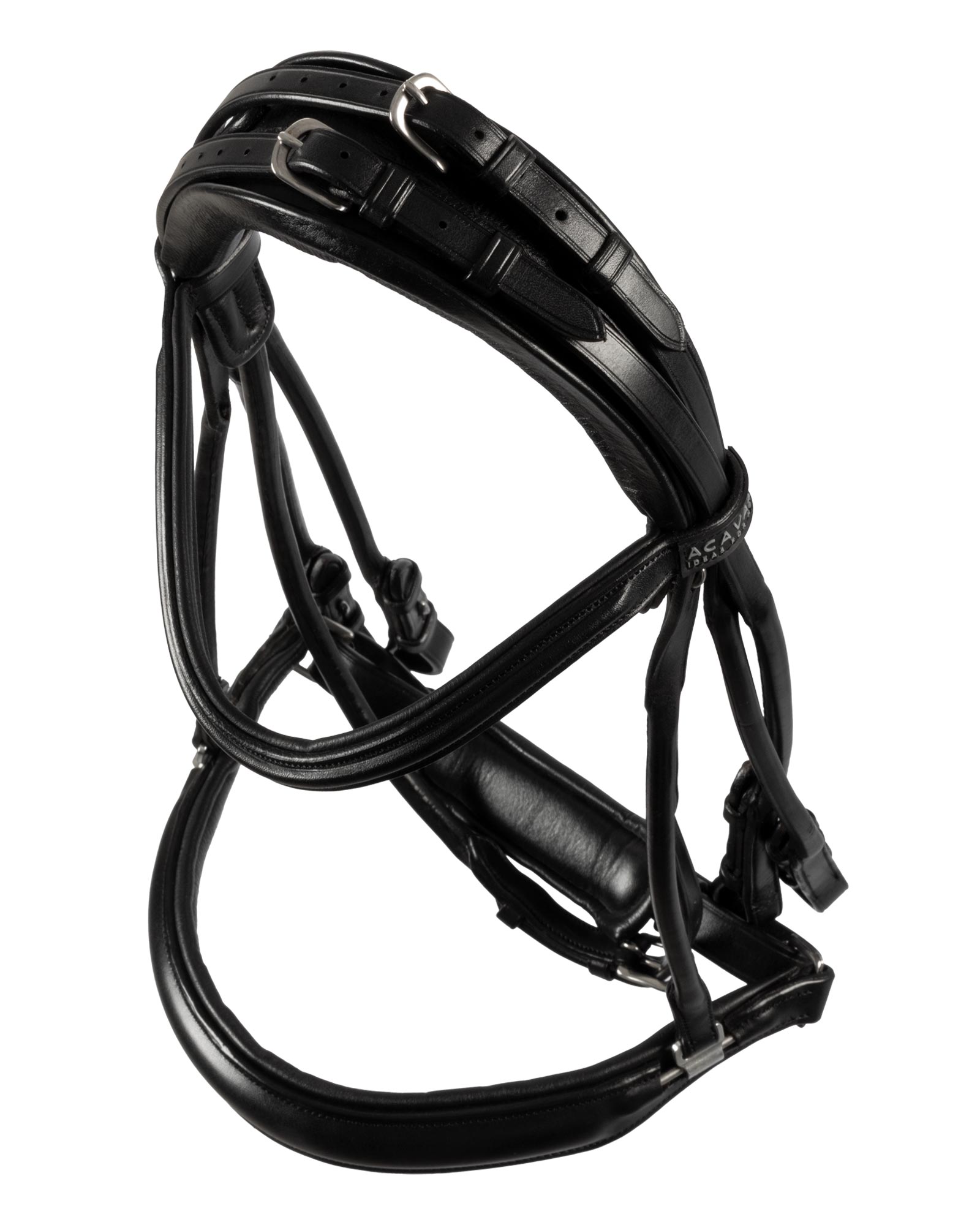 Parnaso bridle double reins