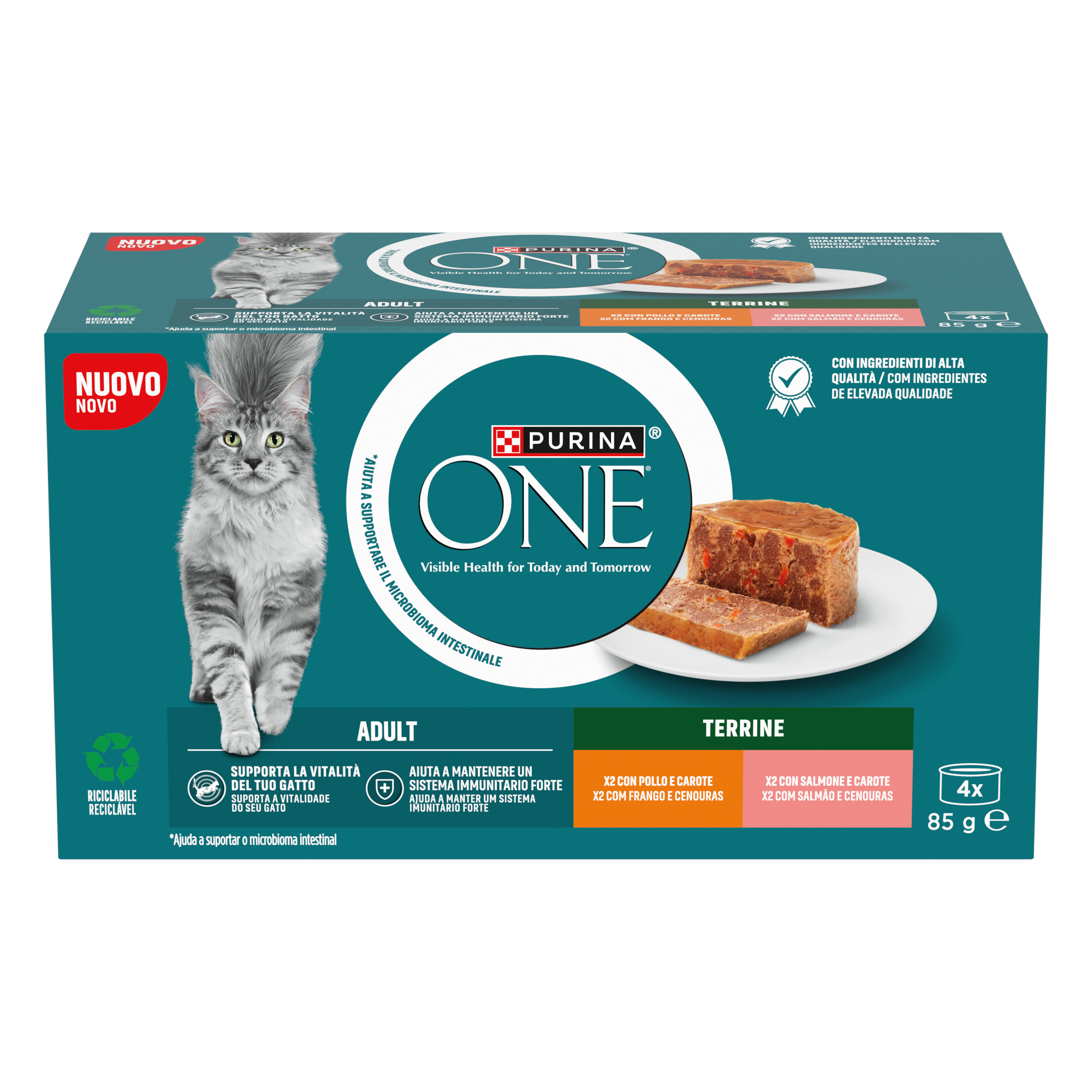 Purina ONE Bifensis Adult
(Pollo e Carote / Salmone e Carote)