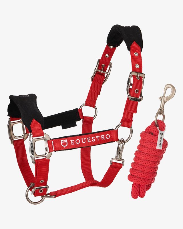 Halter with double adjustment and lead rope