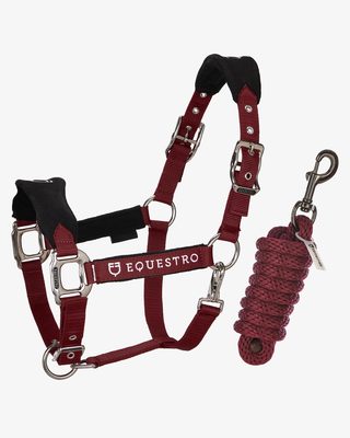 Halter with double adjustment and lead rope