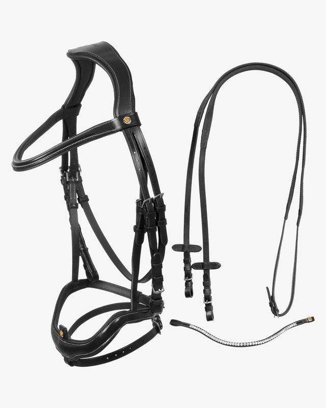 Anatomical bridle with curved noseband