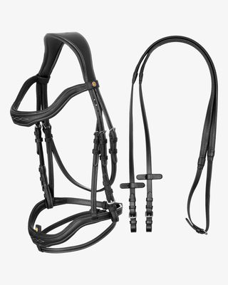 Soft leather stitched bridle