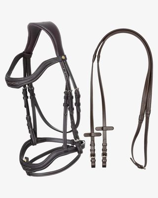 Soft leather stitched bridle