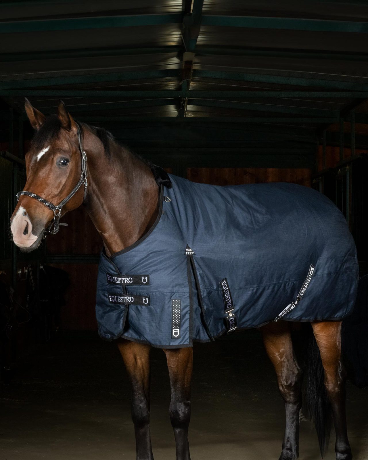 Coperta da paddock Nevada 250 gr in tessuto antistrappo