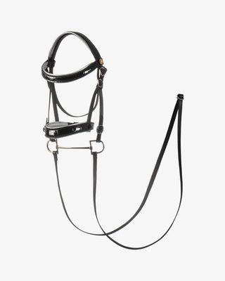 Shiny leather bridle for hobby horse