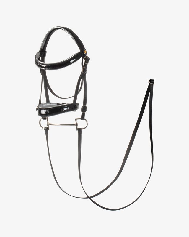 Briglia per hobby horse cuoio lucido