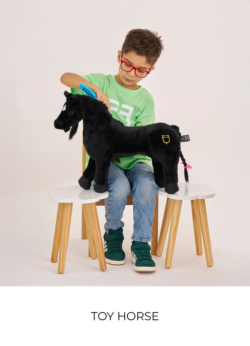 TOY HORSE