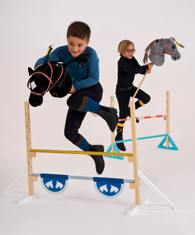 Hobby Horse e Toy Horse