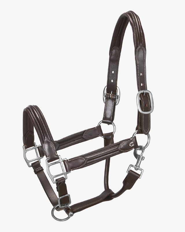 Soft leather halter with durable buckles