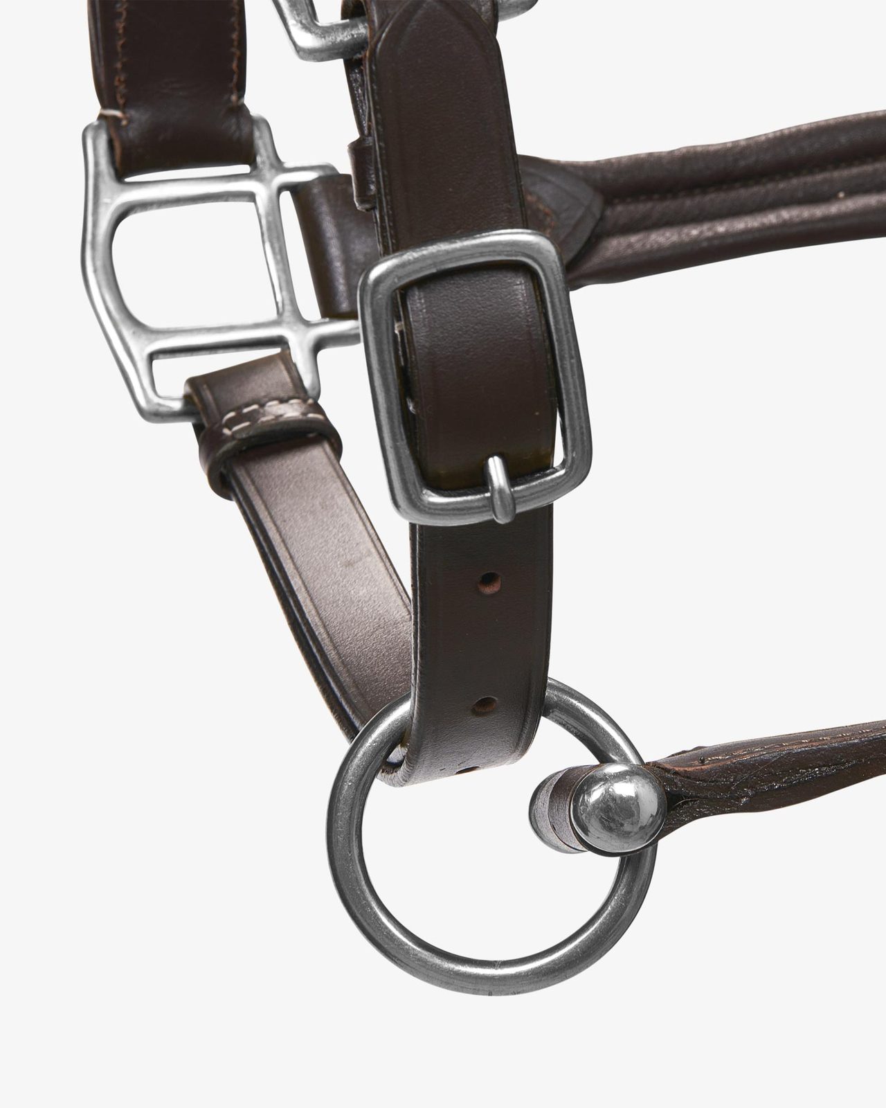 Soft leather halter with durable buckles