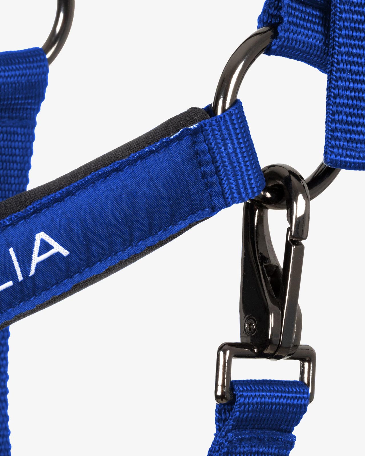 Padded halter double adjustment Equestro X FISE
