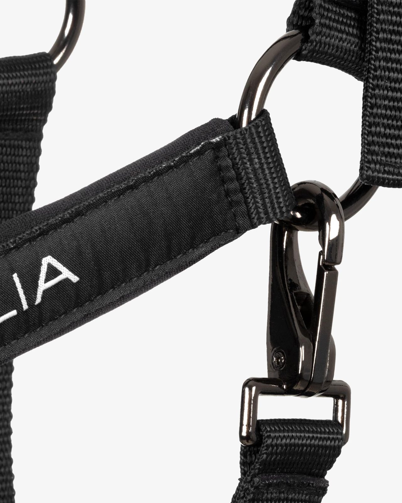 Padded halter double adjustment Equestro X FISE