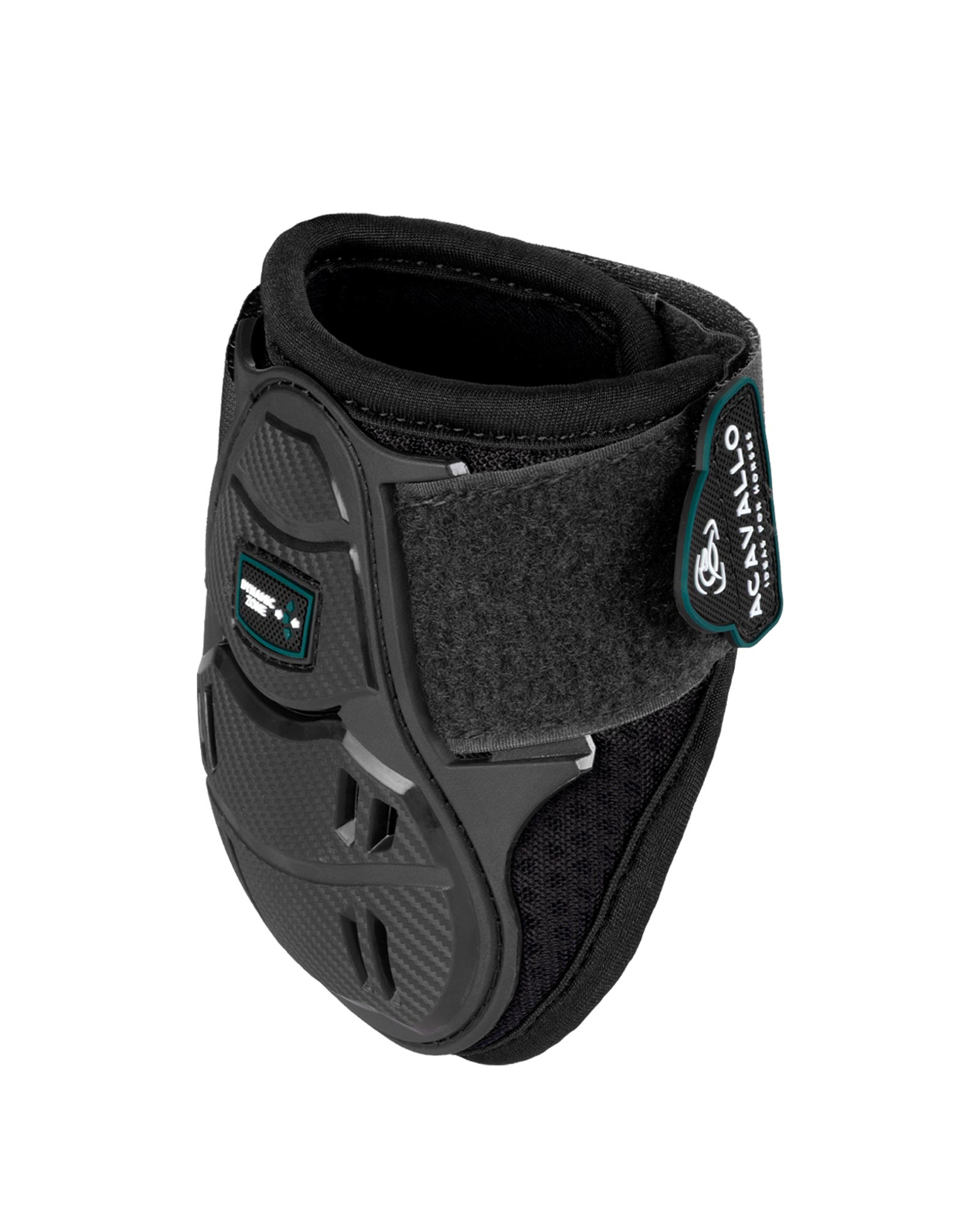 Skeleton Dynamic Zone Fetlock