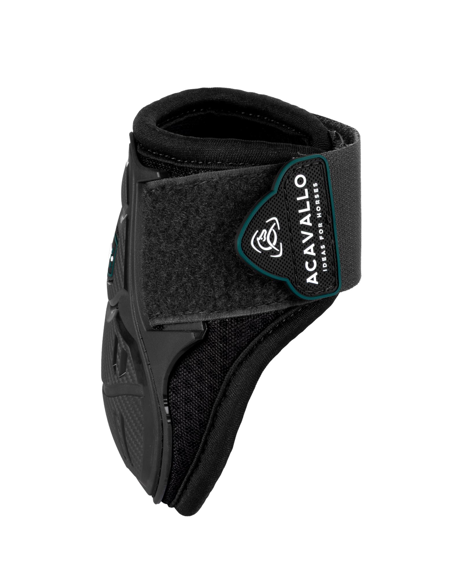 Skeleton Dynamic Zone Fetlock